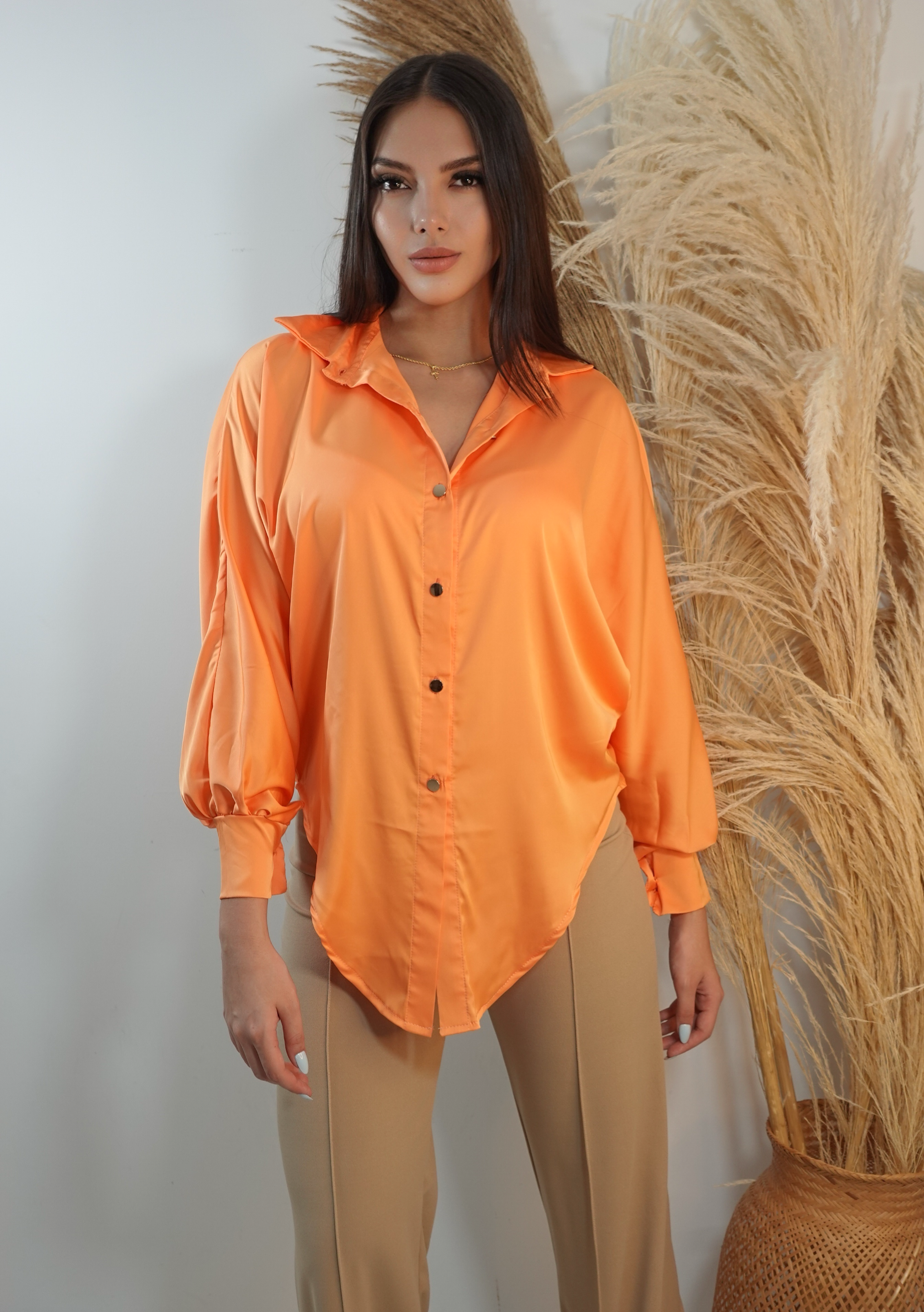 Camisa Manga Larga Unicolor