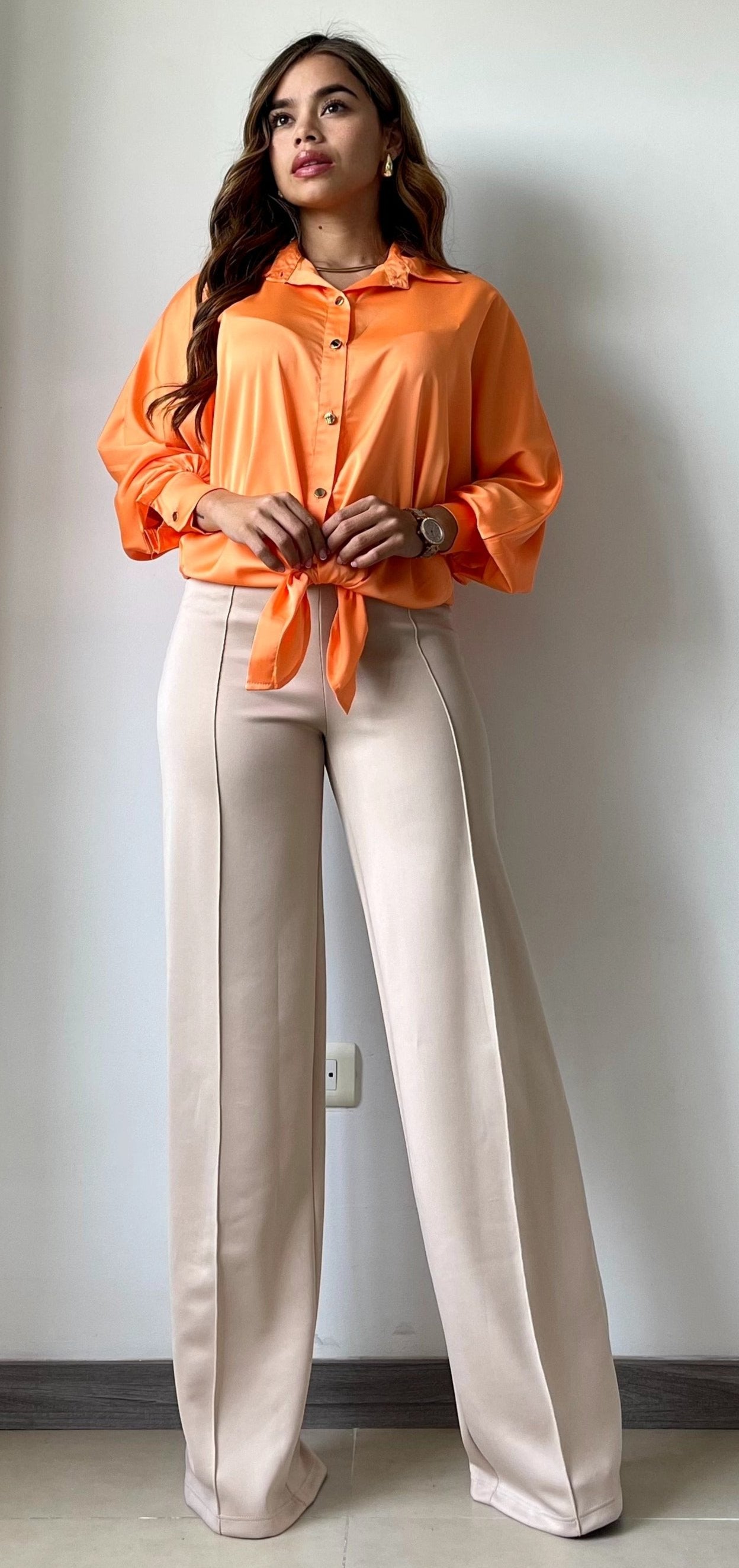 Camisa Manga Larga Unicolor