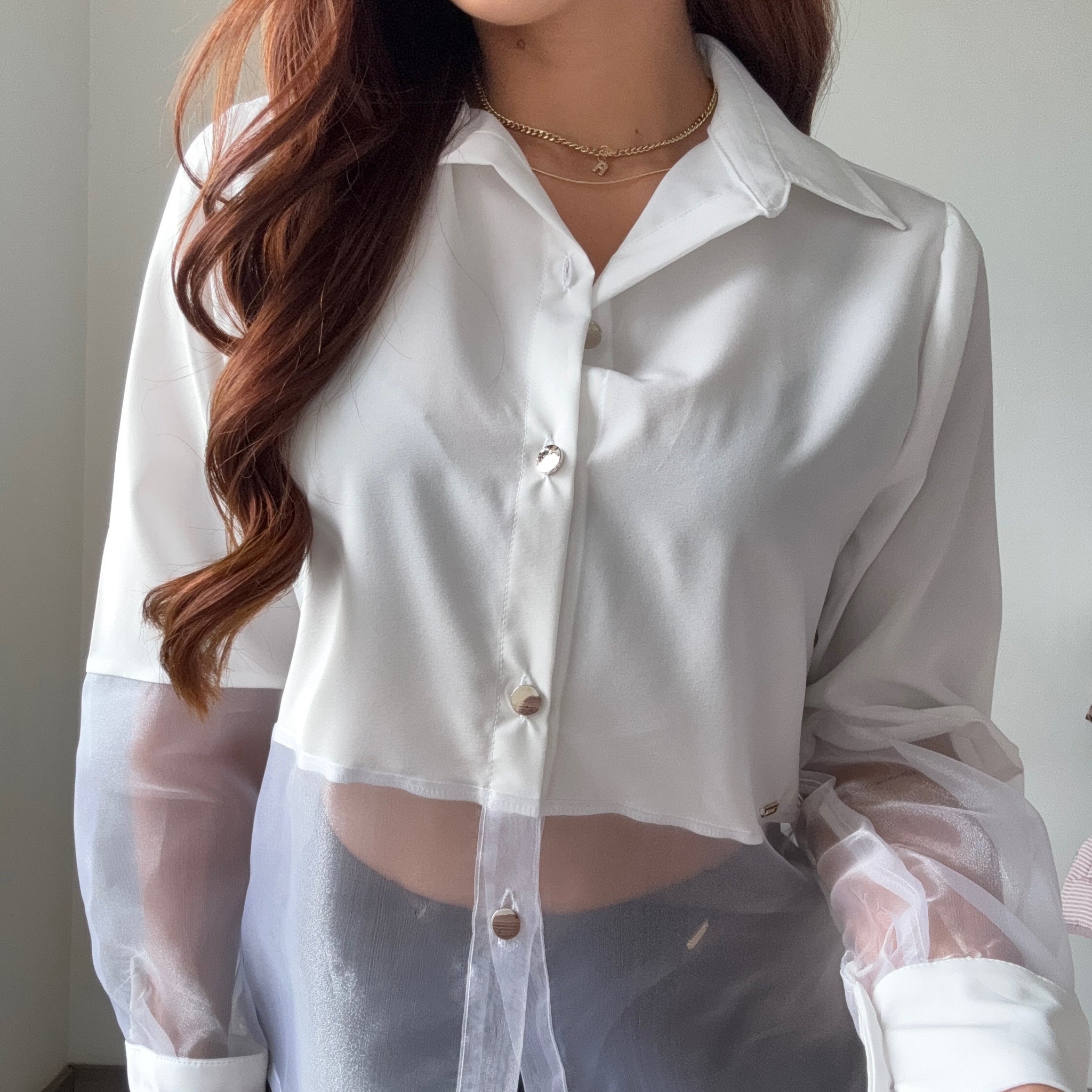 Camisa Manga Larga Tela Cristal Organza