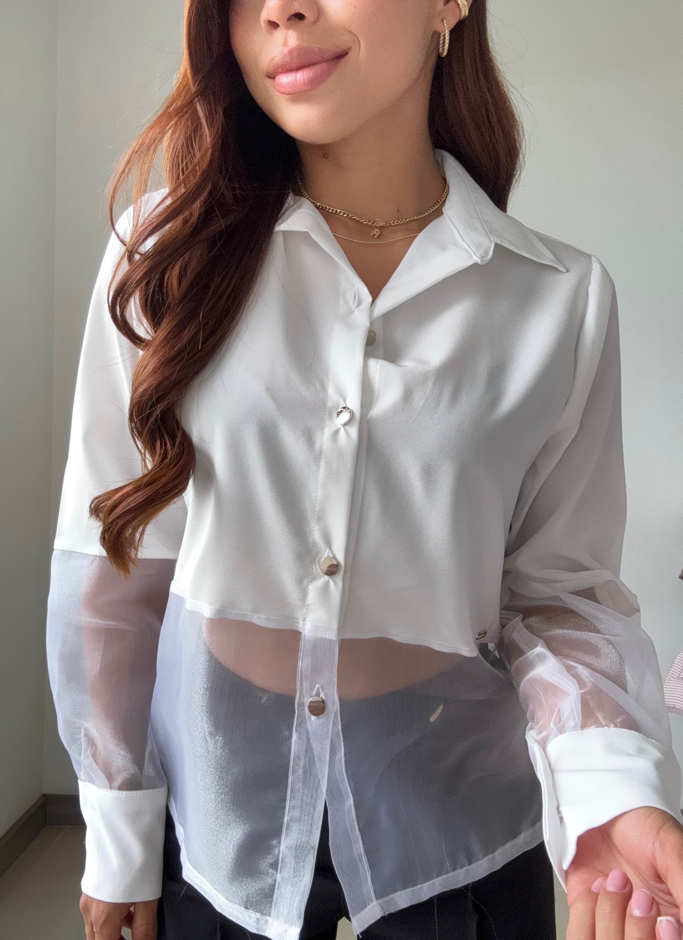 Camisa Manga Larga Tela Cristal Organza