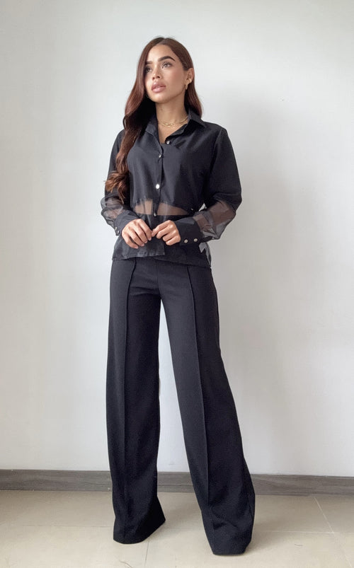 Camisa Manga Larga Tela Cristal Organza