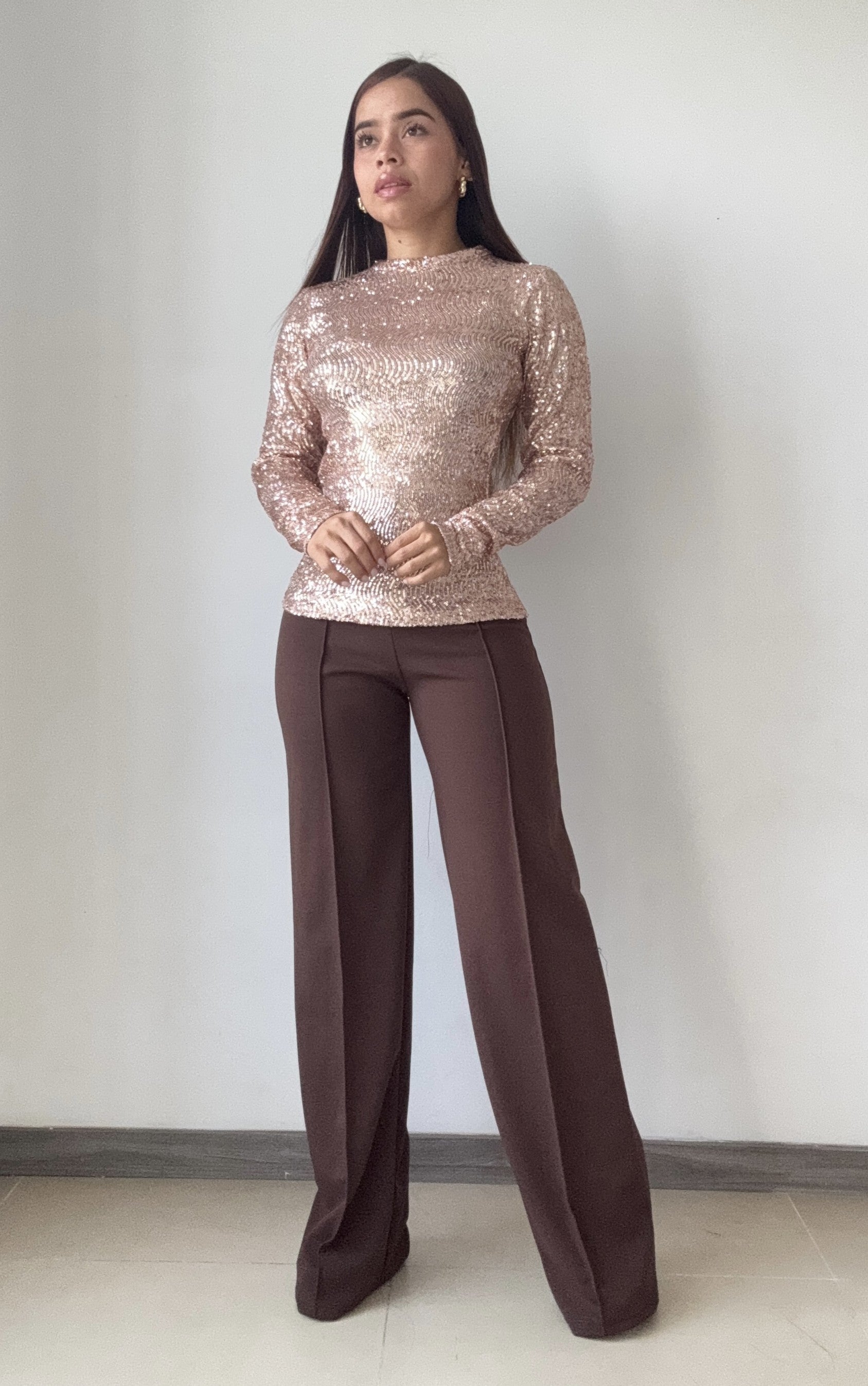 Blusa Manga Larga En Lentejuelas