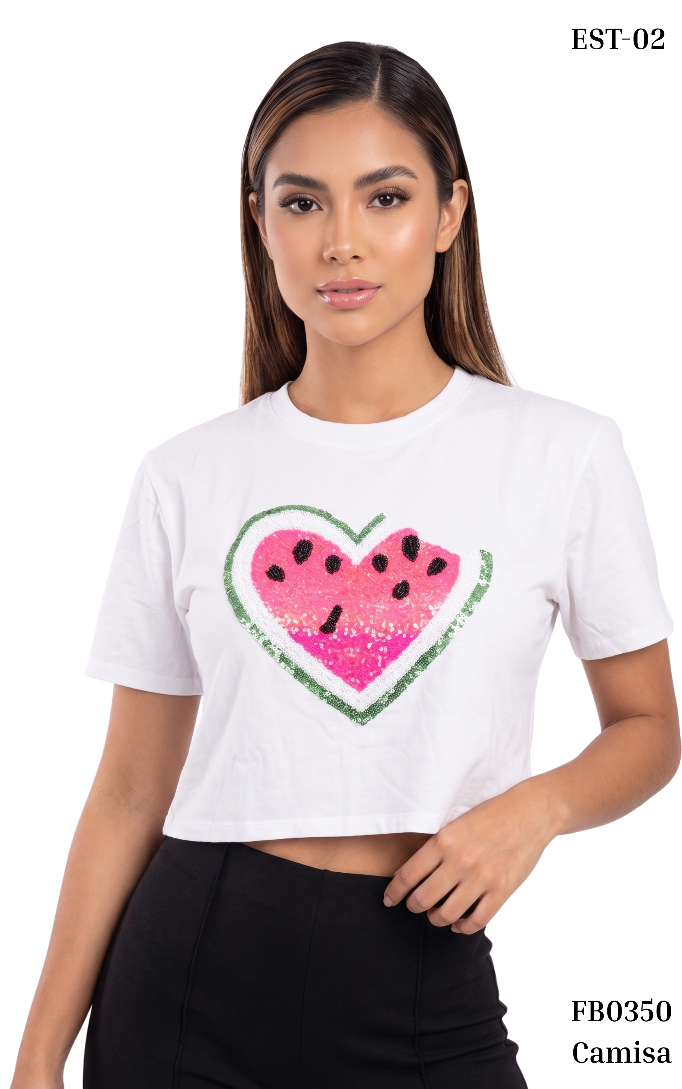Camisa Manga Corta Aplicaciones Surtidas
